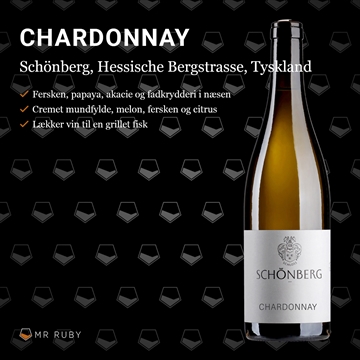 2023 Chardonnay, Schloss Schönberg, Hessische Bergstrasse, Tyskland